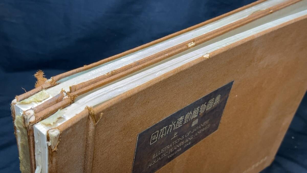 戦前】『日本水産動植物図集』上下編 全2冊セット○大日本水産会 戦前】『日本水産動植物図集』上下編 全2冊セット○大日本水産会
