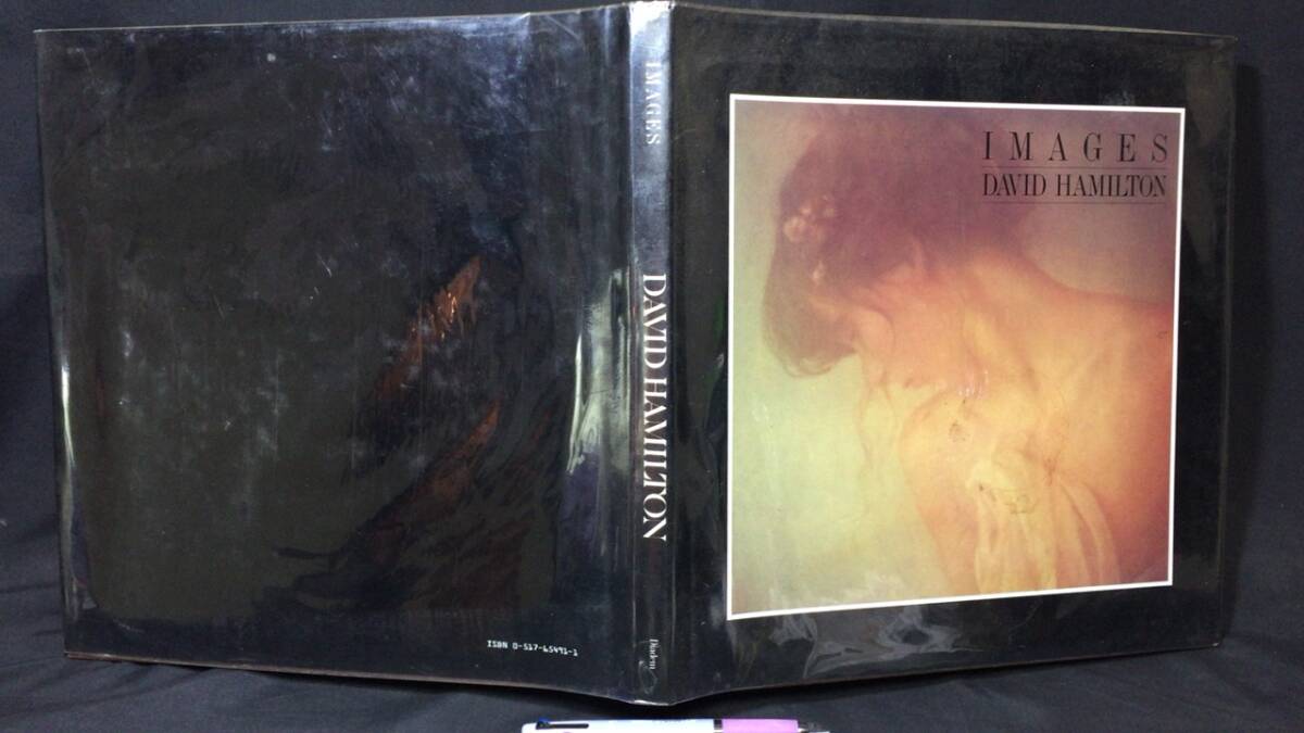 高級ブランド 『IMAGES』●DAVID HAMILTON(デビッド・ハミルトン)●Diadem●1984年発行●全142P●検)洋書写真集アートポートレイト アート写真