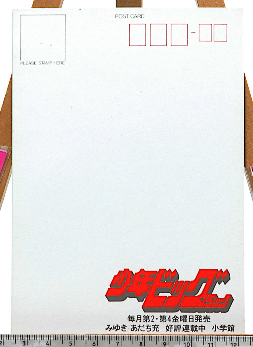 [Vintage][Unused New][Delivery Free]About1984 Shogakukan Shonen Big Comic MIYUKI(Mitsuru Adachi) Comic in Summer Postcard[tag8888]_画像6