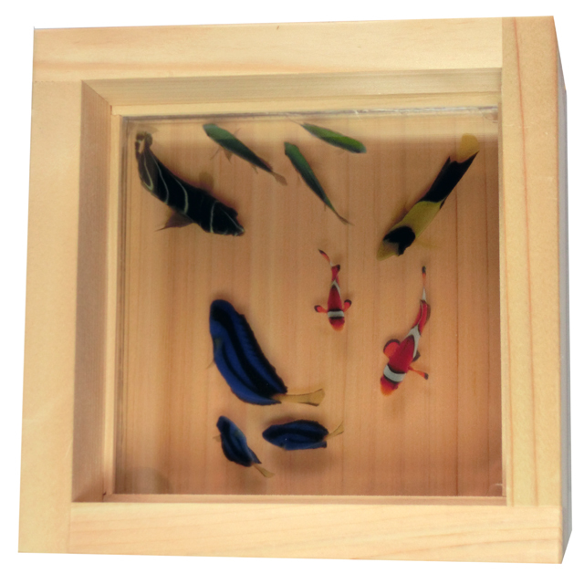 海の樹脂アート 「絆」 こだわりの純日本製 プレゼント付き カクレクマノミ ナンヨウハギ イソギンチャク 海草 珊瑚 ハコフグ 海草 サンゴ