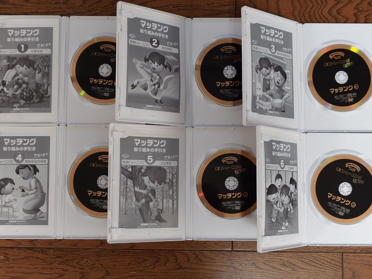 星みつる式才能教育 発達トレーニング 療育DVD 右脳の言葉 星みつる式才能教育 発達トレーニング 療育DVD 右脳の言葉