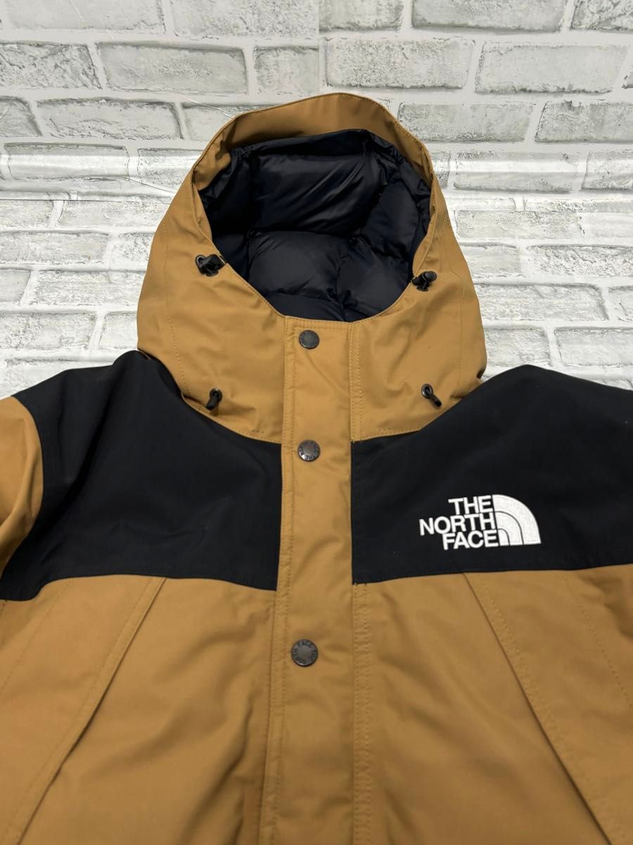 THE NORTH FACE マウンテンダウンジャケット　GORE-TEX