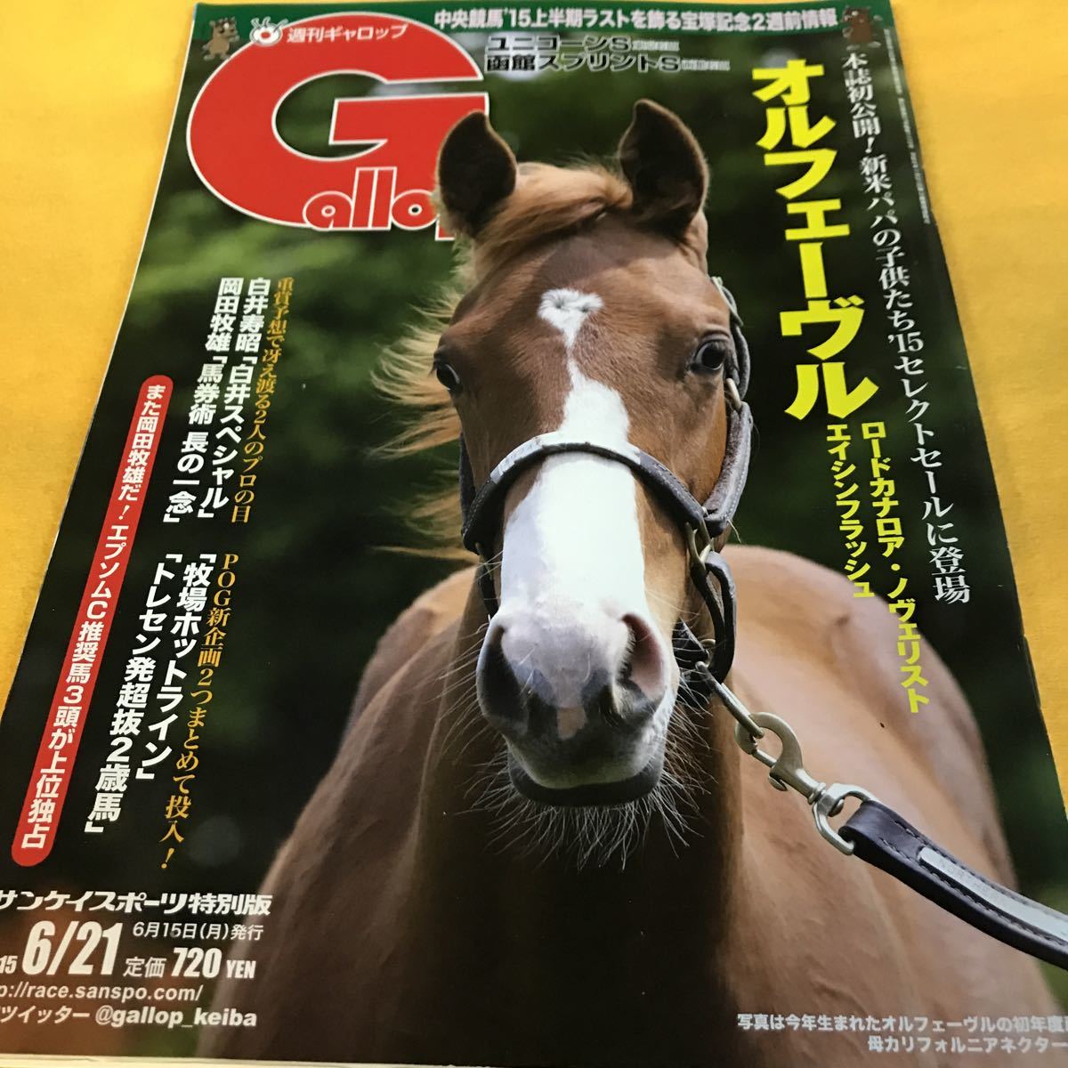 [ horse racing ]Gallop weekly gyarop(2015.6.21)2015 select sale (oru Feve ru, load kana lower )| Okabe . male |eisin hikari 