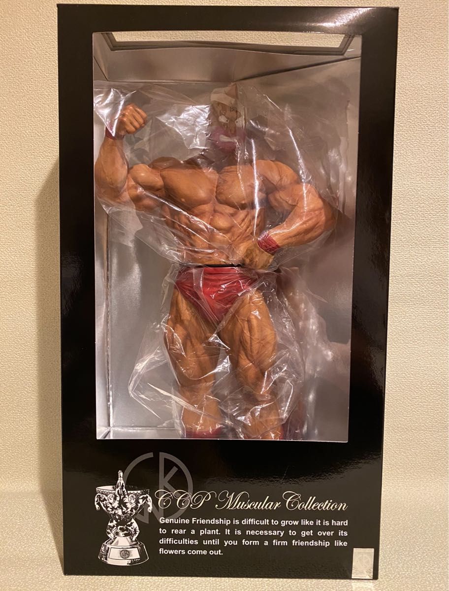 CCP Muscular Collection DX40cmキン肉マン テリーマン ザ CCP Muscular Collection DX40cmキン肉マン テリーマン ザ