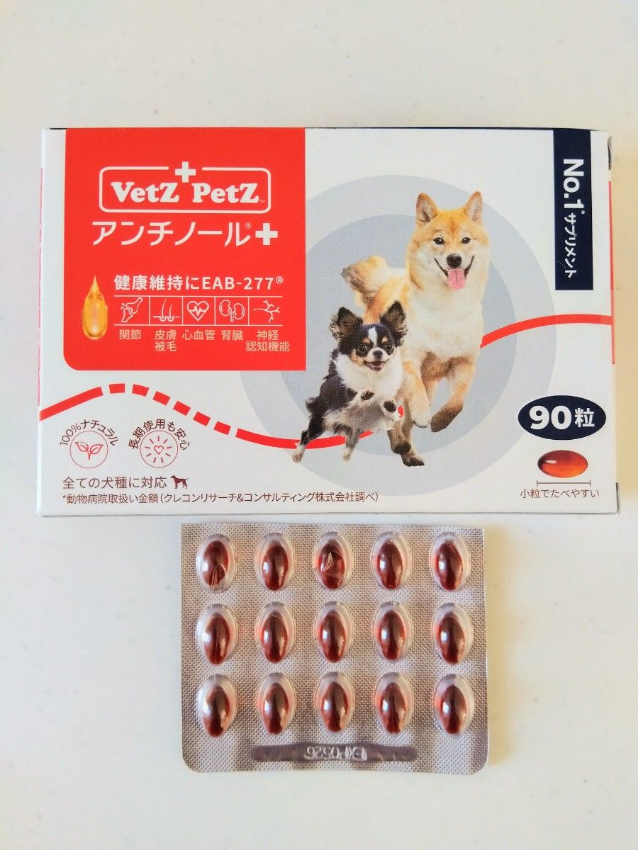 アンチノール プラス 15粒 犬用 栄養補助 サプリメント お試し + アンチノール プラス 15粒 犬用 栄養補助 サプリメント お試し +