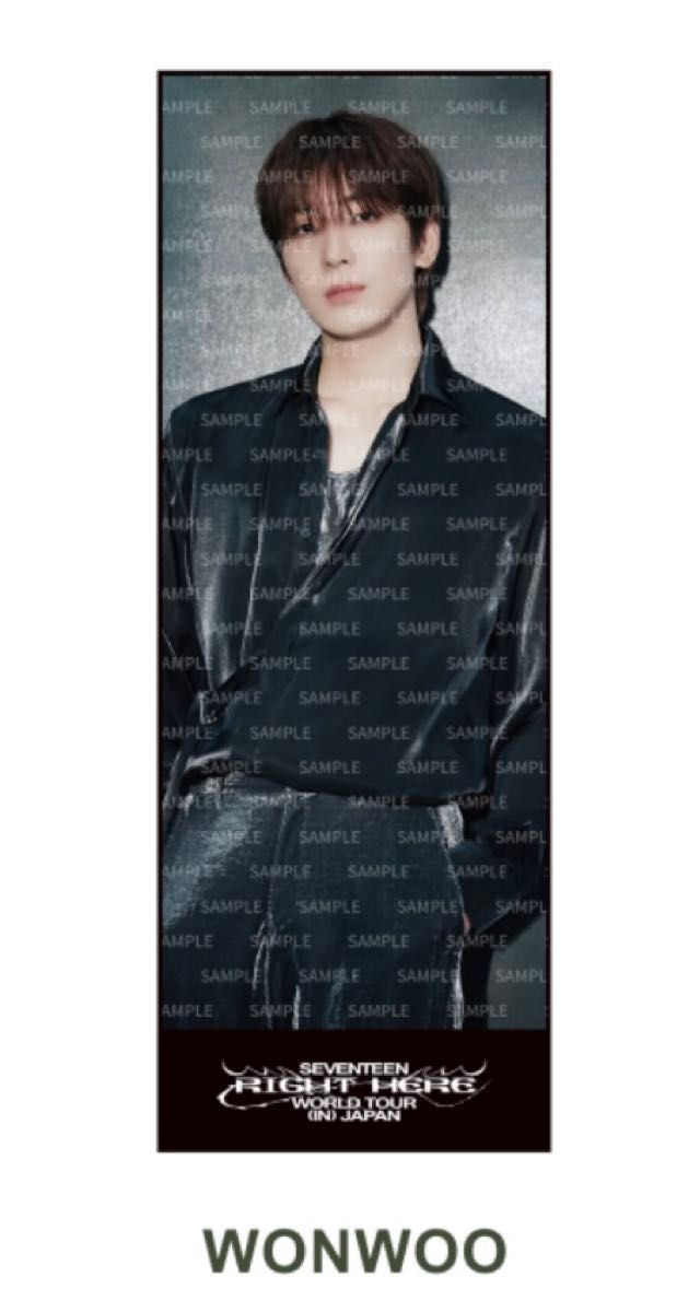 新品 ウォヌSEVENTEEN セブチ RIGHT HERE JAPAN ビック フォト 新品 ウォヌSEVENTEEN セブチ RIGHT HERE JAPAN ビック フォト