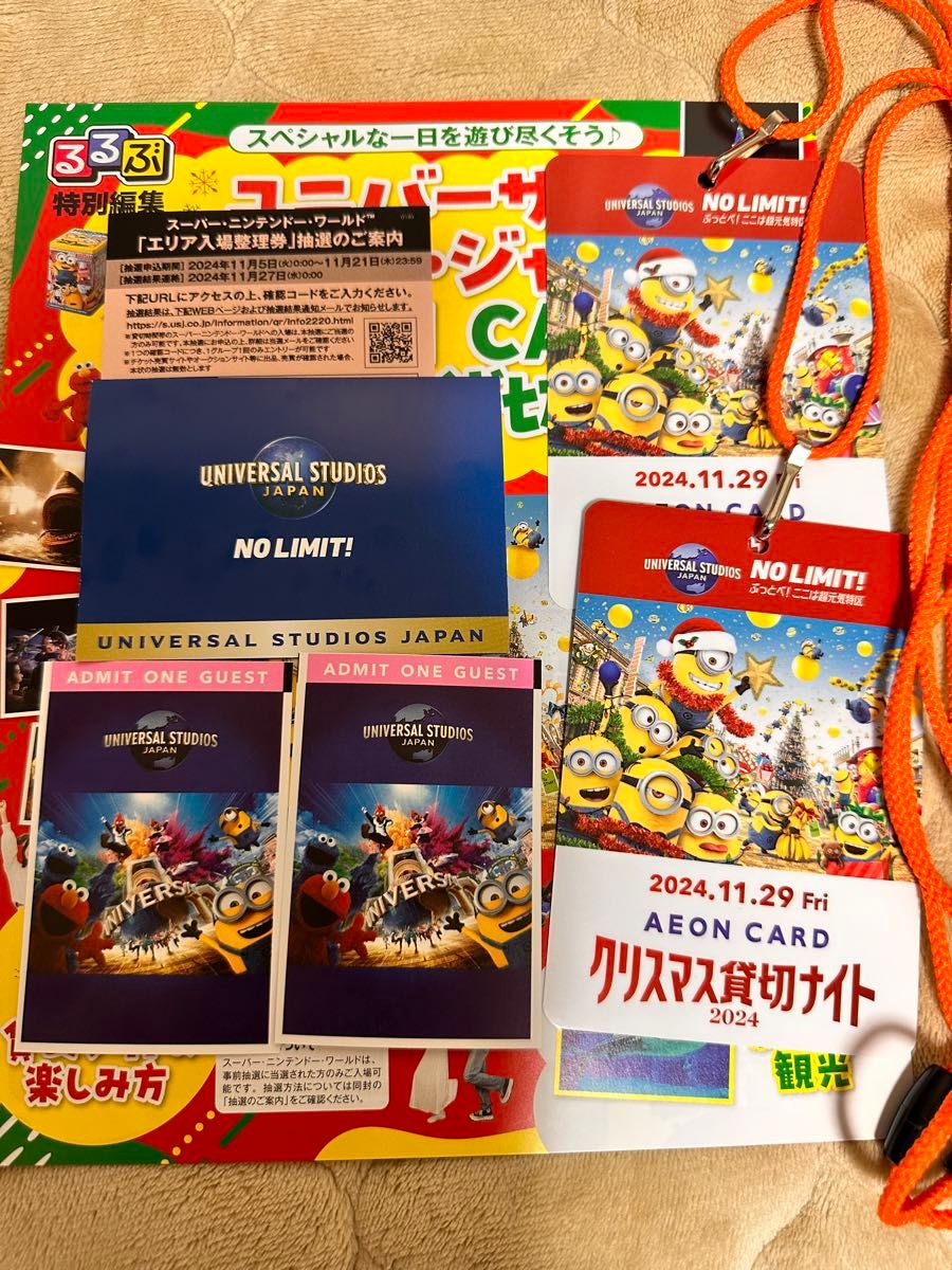 2枚 USJ 貸切ナイト 11月29日(金) 11/29 クリスマス 2枚 USJ 貸切ナイト 11月29日(金) 11/29 クリスマス