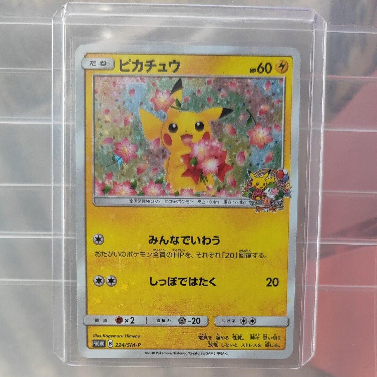 ポケモンカード ピカチュウ 6点セット|Yahoo!フリマ(旧PayPay ポケモンカード ピカチュウ 6点セット|Yahoo!フリマ(旧PayPay