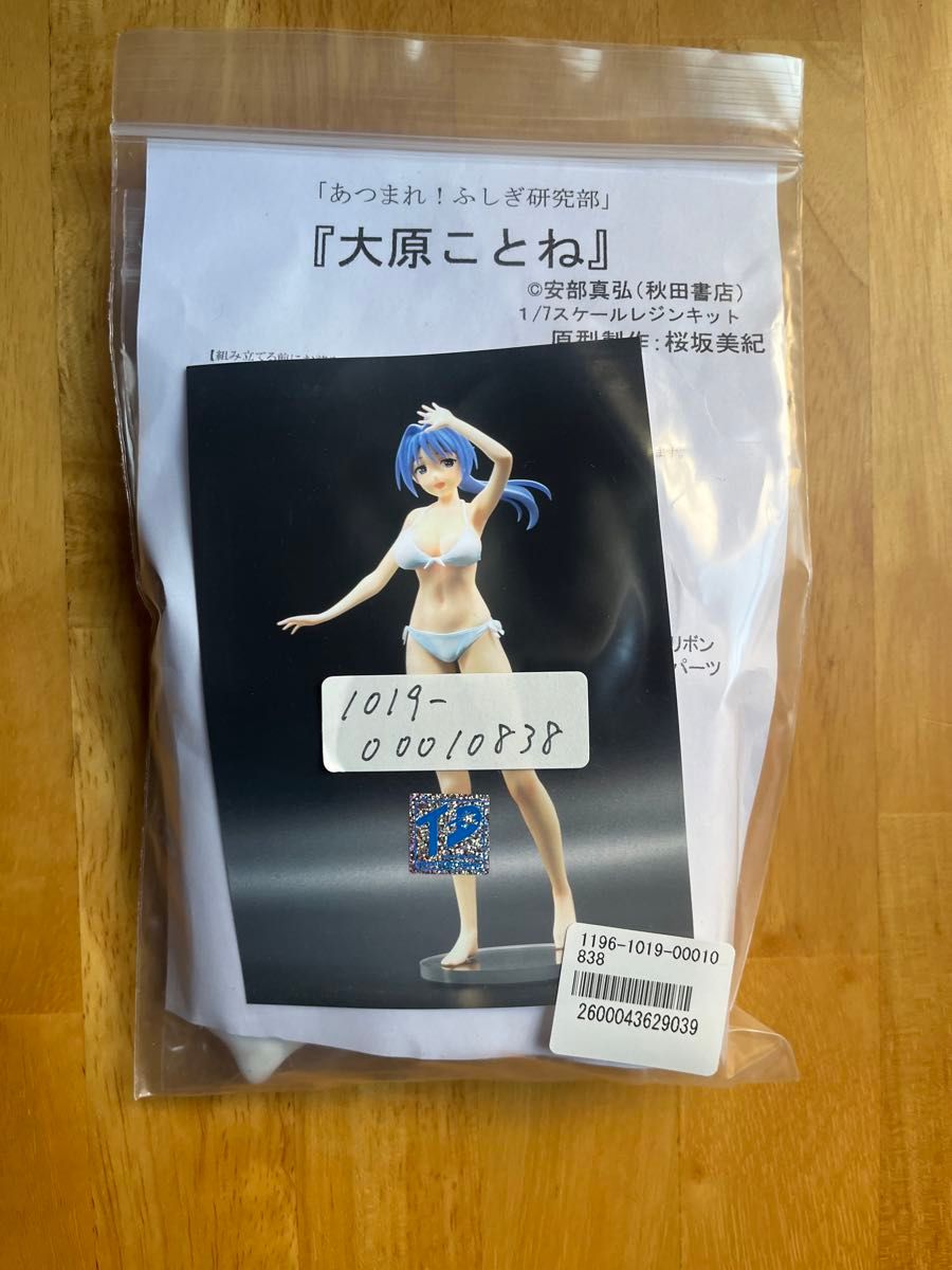 新品未開封 送料無料 ガレージキット 大原ことね チェリー 新品未開封 送料無料 ガレージキット 大原ことね チェリー