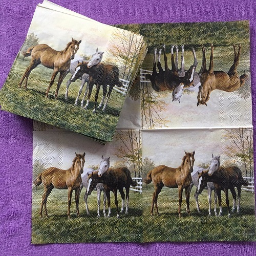  лошадь рисунок лошадь 3 голова бумага салфетка 20 шт. комплект бумажные салфетки верховая езда 