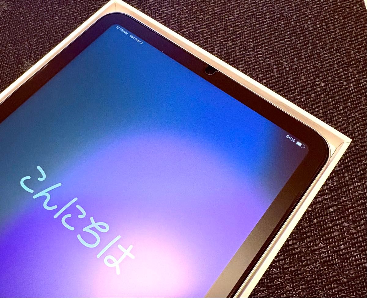 新品同様 iPad mini 7 (A17 Pro) Wi-Fi 128GB スターライト 丁寧 新品同様 iPad mini 7 (A17 Pro) Wi-Fi 128GB スターライト 丁寧