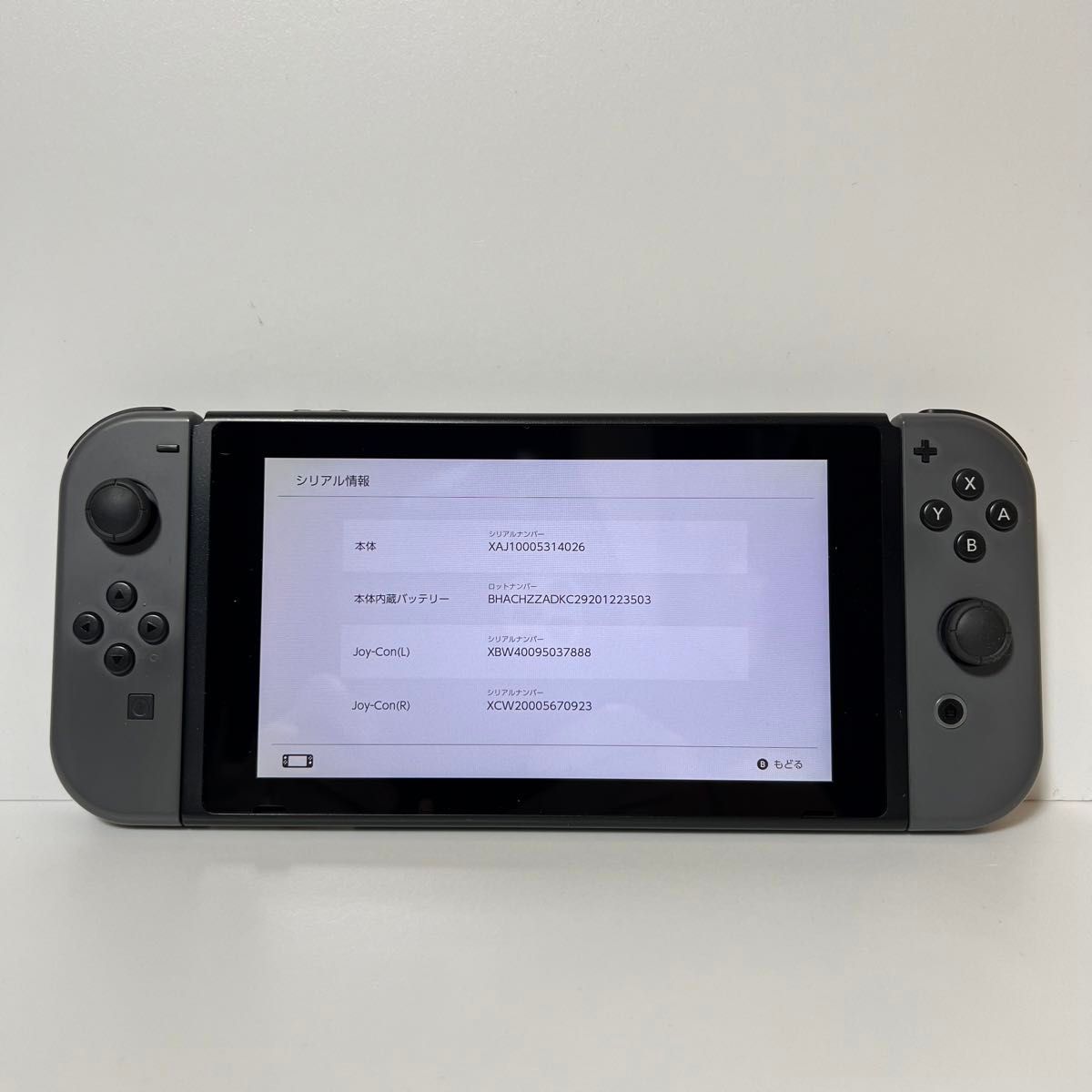 Switch スイッチ 未対策機・初期型 グレー 本体一式 付属品完品 Switch スイッチ 未対策機・初期型 グレー 本体一式 付属品完品