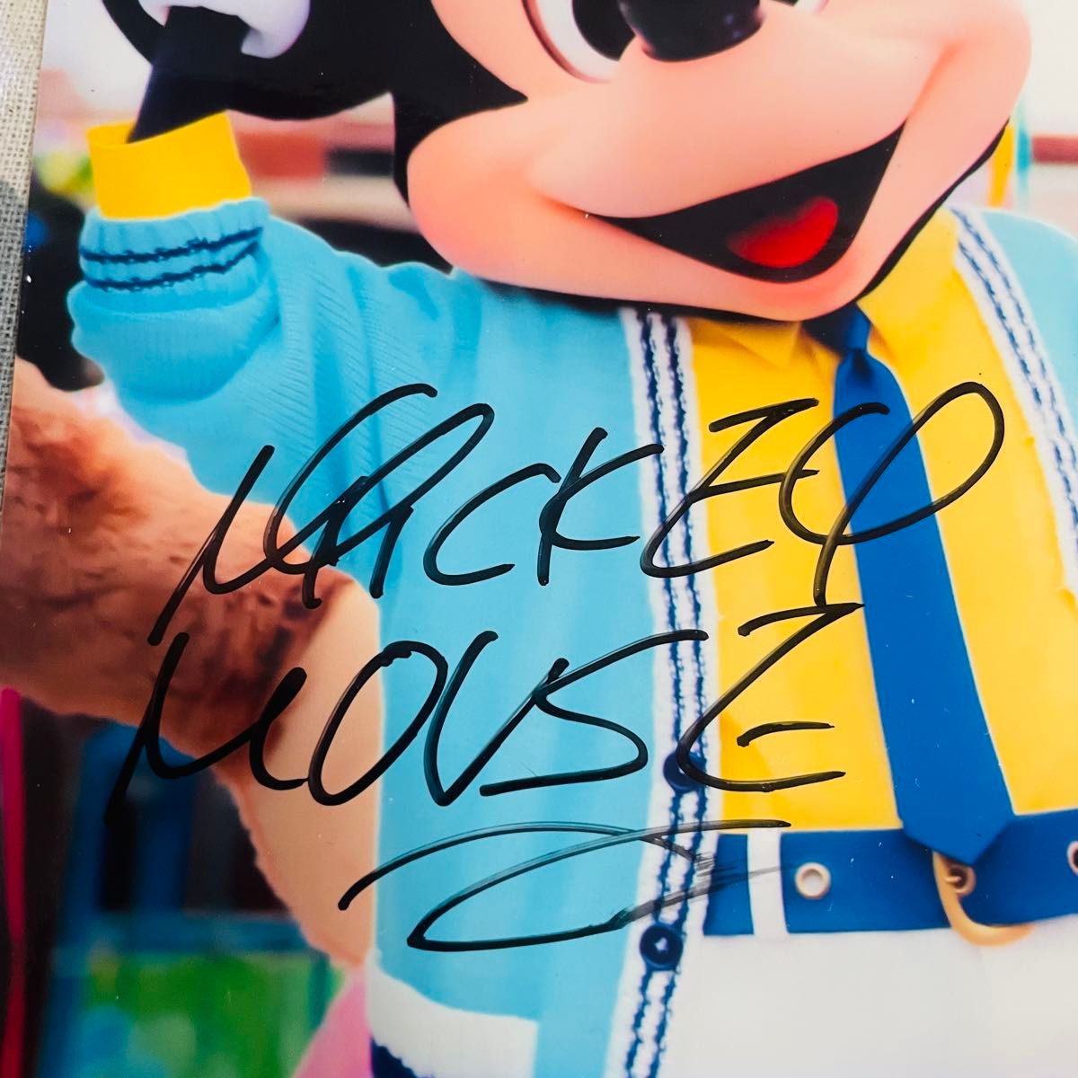 ミッキー ミニー 生写真 サイン入り 2Lサイズ ディズニー レア ミッキー ミニー 生写真 サイン入り 2Lサイズ ディズニー レア