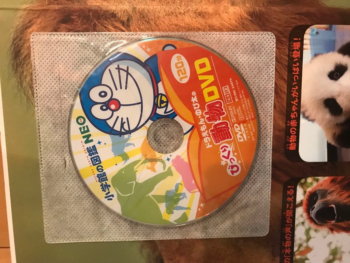 小学館の図鑑NEO 13冊 DVD|Yahoo!フリマ(旧PayPayフリマ) 小学館の図鑑NEO 13冊 DVD|Yahoo!フリマ(旧PayPayフリマ)