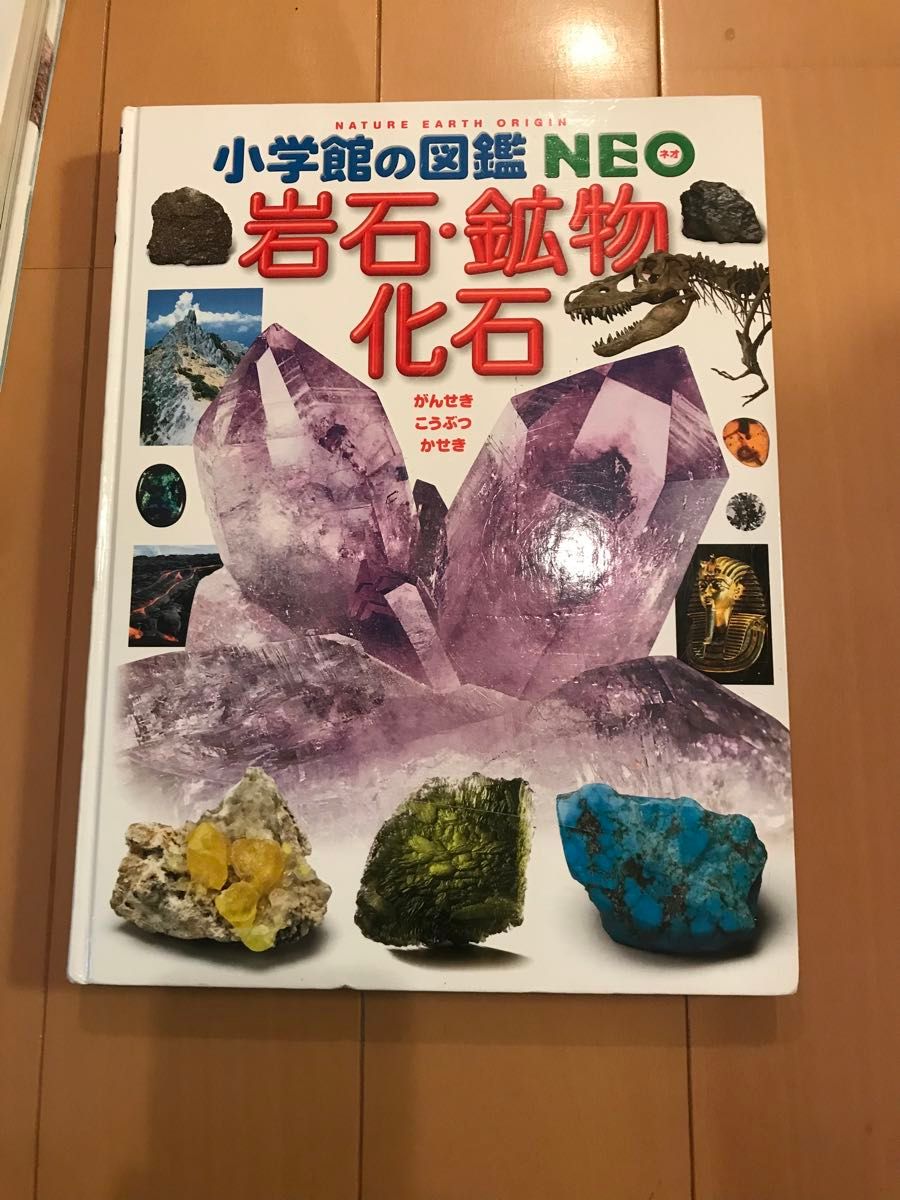 小学館の図鑑NEO 13冊 DVD|Yahoo!フリマ(旧PayPayフリマ) 小学館の図鑑NEO 13冊 DVD|Yahoo!フリマ(旧PayPayフリマ)
