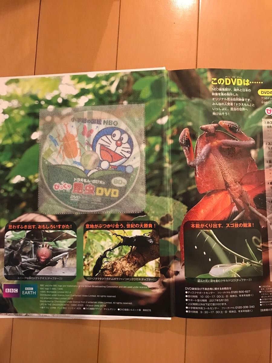 小学館の図鑑NEO 13冊 DVD|Yahoo!フリマ(旧PayPayフリマ) 小学館の図鑑NEO 13冊 DVD|Yahoo!フリマ(旧PayPayフリマ)