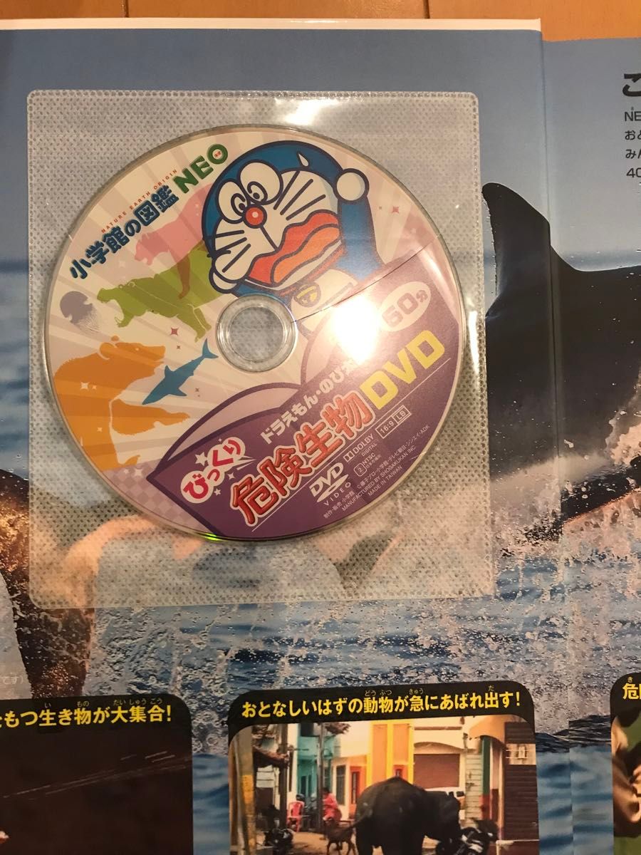 小学館の図鑑NEO 13冊 DVD|Yahoo!フリマ(旧PayPayフリマ) 小学館の図鑑NEO 13冊 DVD|Yahoo!フリマ(旧PayPayフリマ)