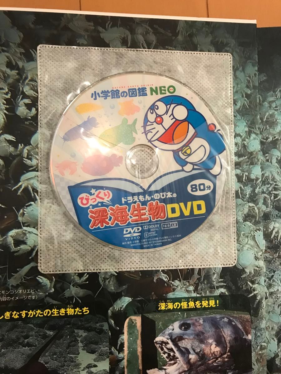 小学館の図鑑NEO 13冊 DVD|Yahoo!フリマ(旧PayPayフリマ) 小学館の図鑑NEO 13冊 DVD|Yahoo!フリマ(旧PayPayフリマ)
