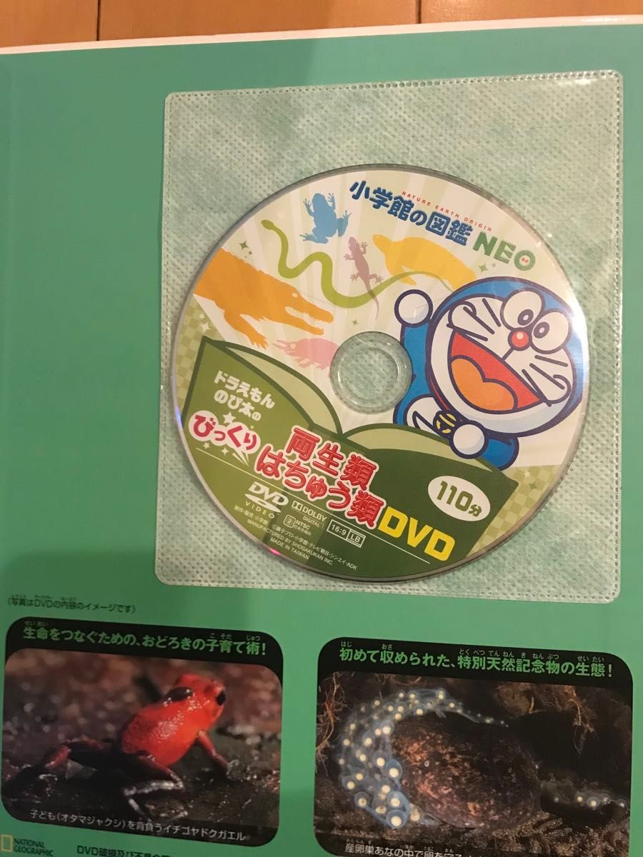 小学館の図鑑NEO 13冊 DVD|Yahoo!フリマ(旧PayPayフリマ) 小学館の図鑑NEO 13冊 DVD|Yahoo!フリマ(旧PayPayフリマ)
