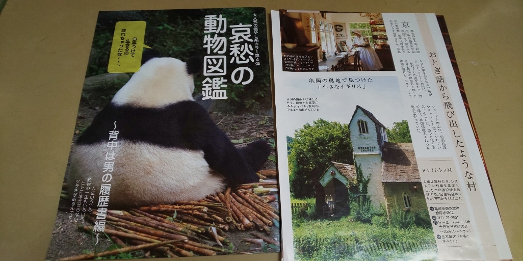 ヤフオク 秋の裏京都 哀愁の動物図鑑 グラビア雑誌切抜き ヤフオク 秋の裏京都 哀愁の動物図鑑 グラビア雑誌切抜き