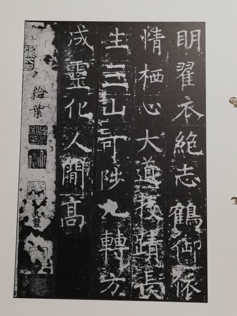 孟法師碑銘 活頁 検索: 原拓片 碑帖 法帖 書道 唐本 漢籍 善本 古墨 孟法師碑銘 活頁 検索: 原拓片 碑帖 法帖 書道 唐本 漢籍 善本 古墨