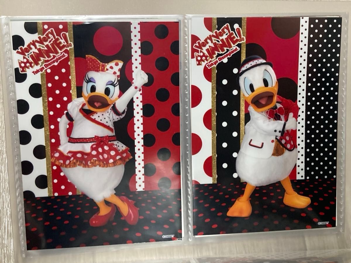 東京ディズニーランド ベリーベリーミニー スペシャルフォト 20 東京ディズニーランド ベリーベリーミニー スペシャルフォト 20