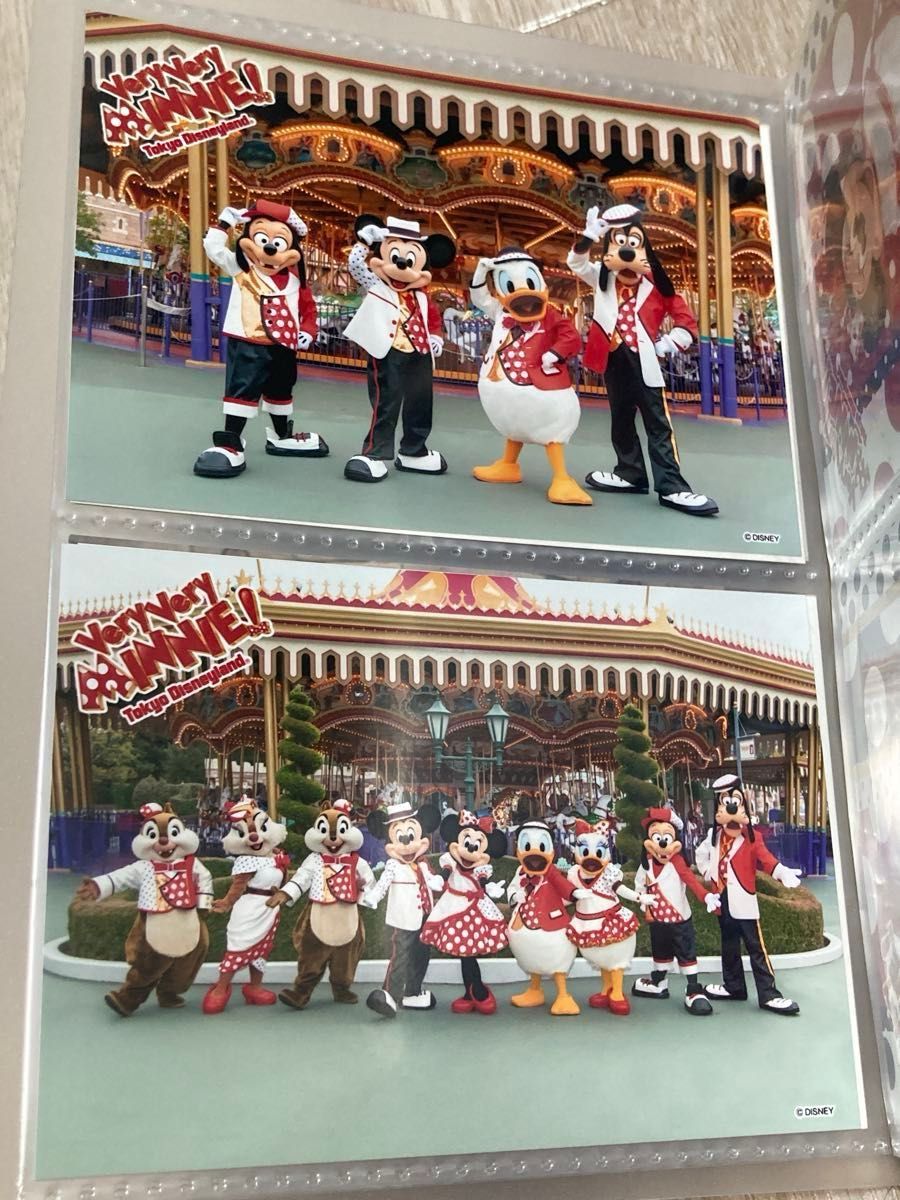 東京ディズニーランド ベリーベリーミニー スペシャルフォト 20 東京ディズニーランド ベリーベリーミニー スペシャルフォト 20