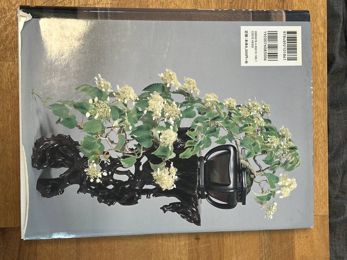盆栽芸術 地 小林國雄の世界 書籍・盆栽芸術-地-小林國雄の世界】