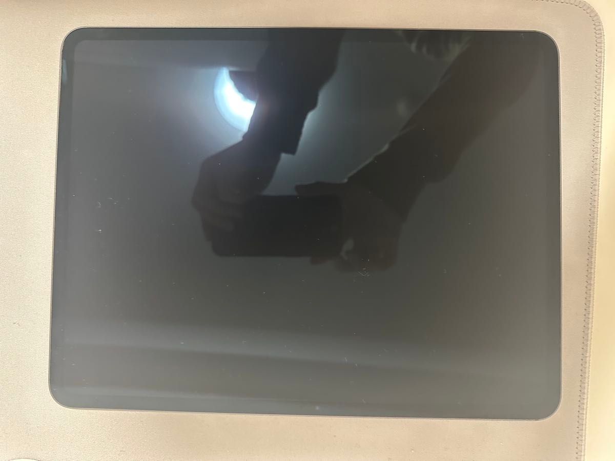 iPad Pro 13インチ M4 256G スペースグレー Wi-Fiモデル iPad Pro 13インチ M4 256G スペースグレー Wi-Fiモデル
