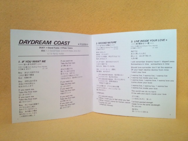 河合奈保子 DAYDREAM COAST 35C31-7226