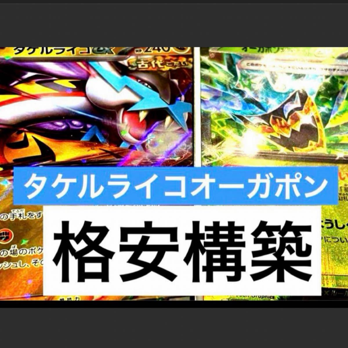 構築済みデッキ ポケモンカードゲーム タケルライコデッキ 構築済みデッキ ポケモンカードゲーム タケルライコデッキ