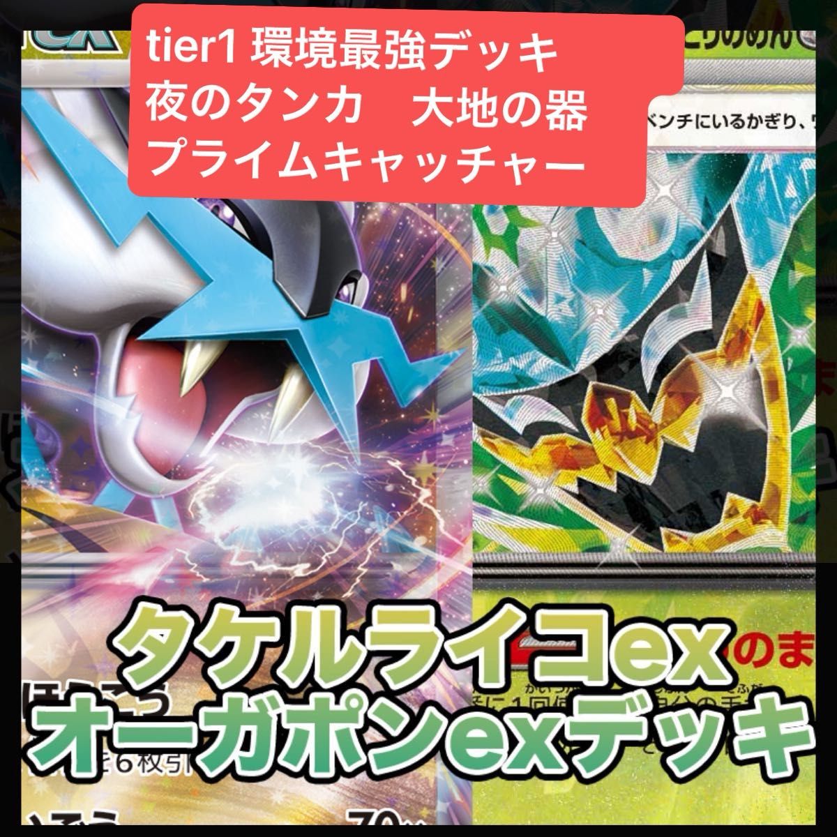 ポケモンカード 構築済みデッキ ライコポン タケルライコ ポケモンカード 構築済みデッキ ライコポン タケルライコ