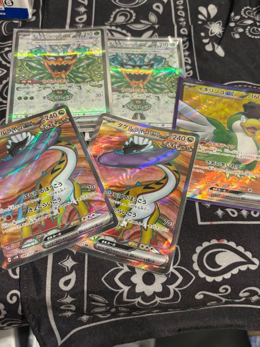 構築済みデッキ ポケモンカードゲーム ライコポン タケルライコ 構築済みデッキ ポケモンカードゲーム ライコポン タケルライコ