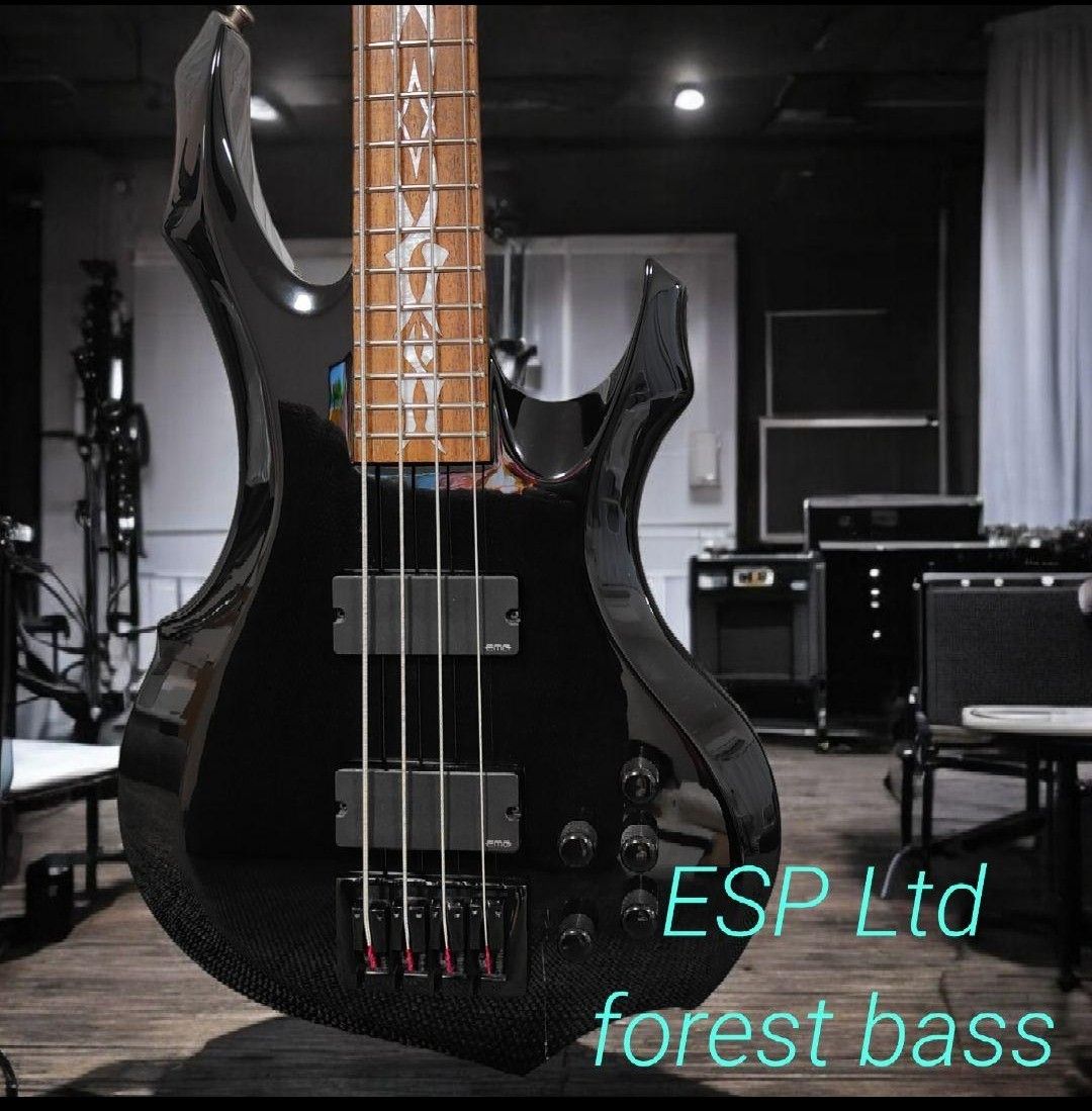 ESP Ltd forest bass ベース フォレスト スルーネック エレキ ESP Ltd forest bass ベース フォレスト スルーネック エレキ