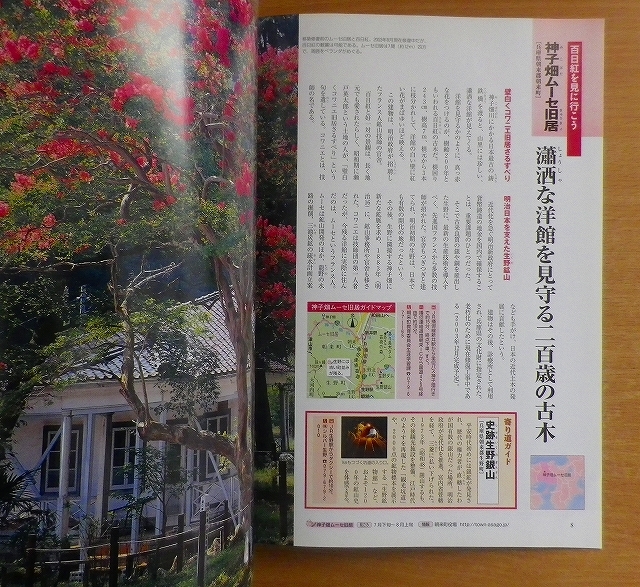 週刊四季花めぐり47　百日紅・夾竹桃_画像2