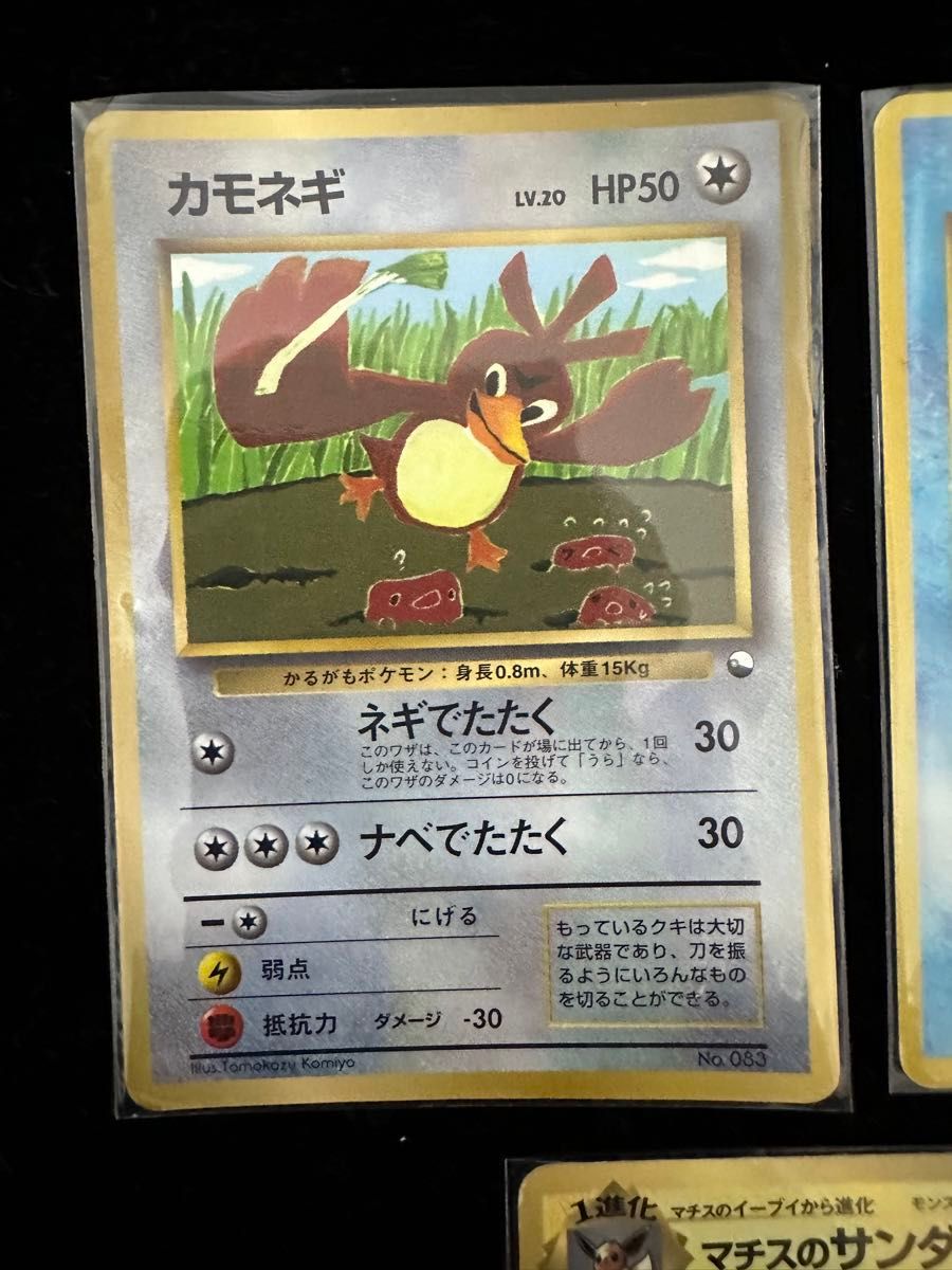 ポケモンカード ポケカ 旧裏面 当時物 旧裏 カモネギ コイキング ポケモンカード ポケカ 旧裏面 当時物 旧裏 カモネギ コイキング
