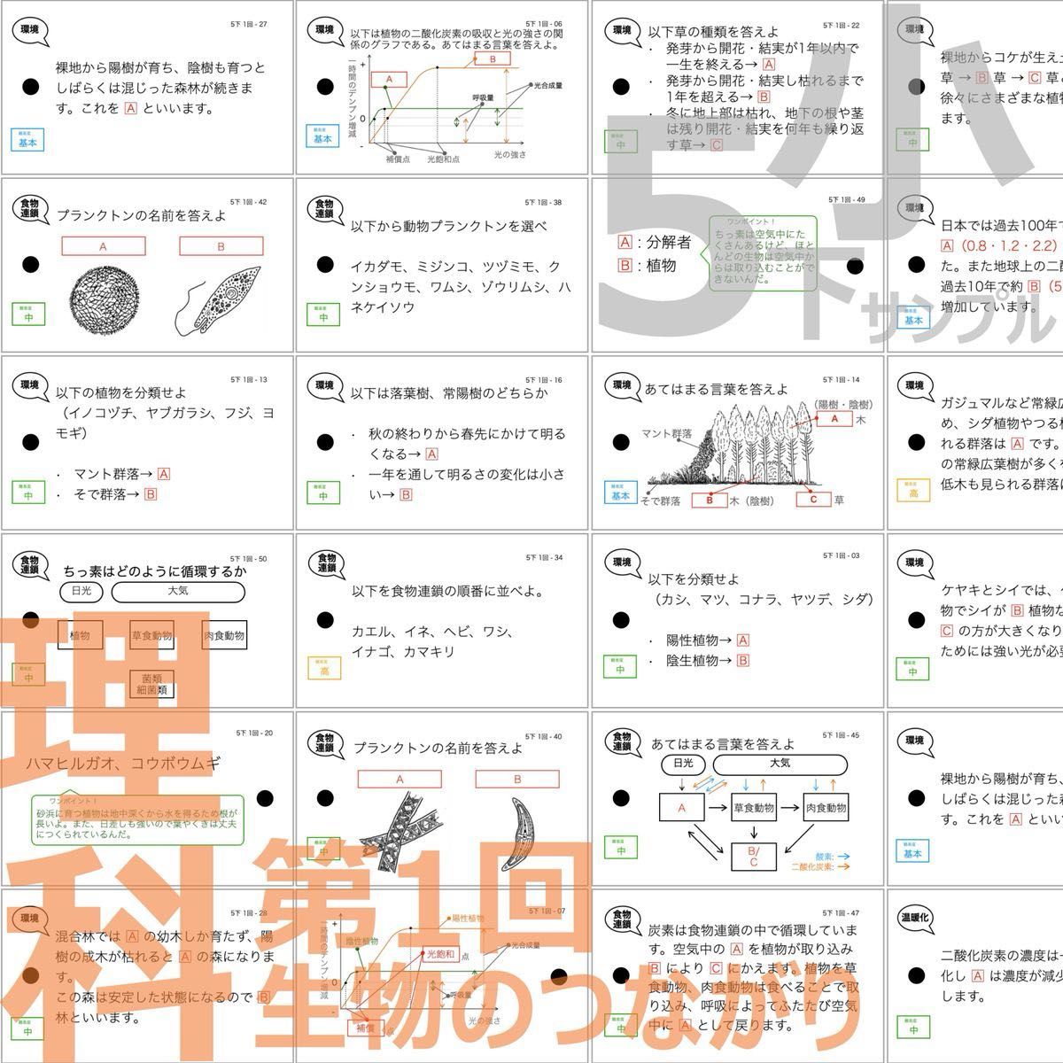 中学受験 暗記カード【理科 生物 全セット】小学5年生が最適 中学受験 暗記カード【理科 生物 全セット】小学5年生が最適