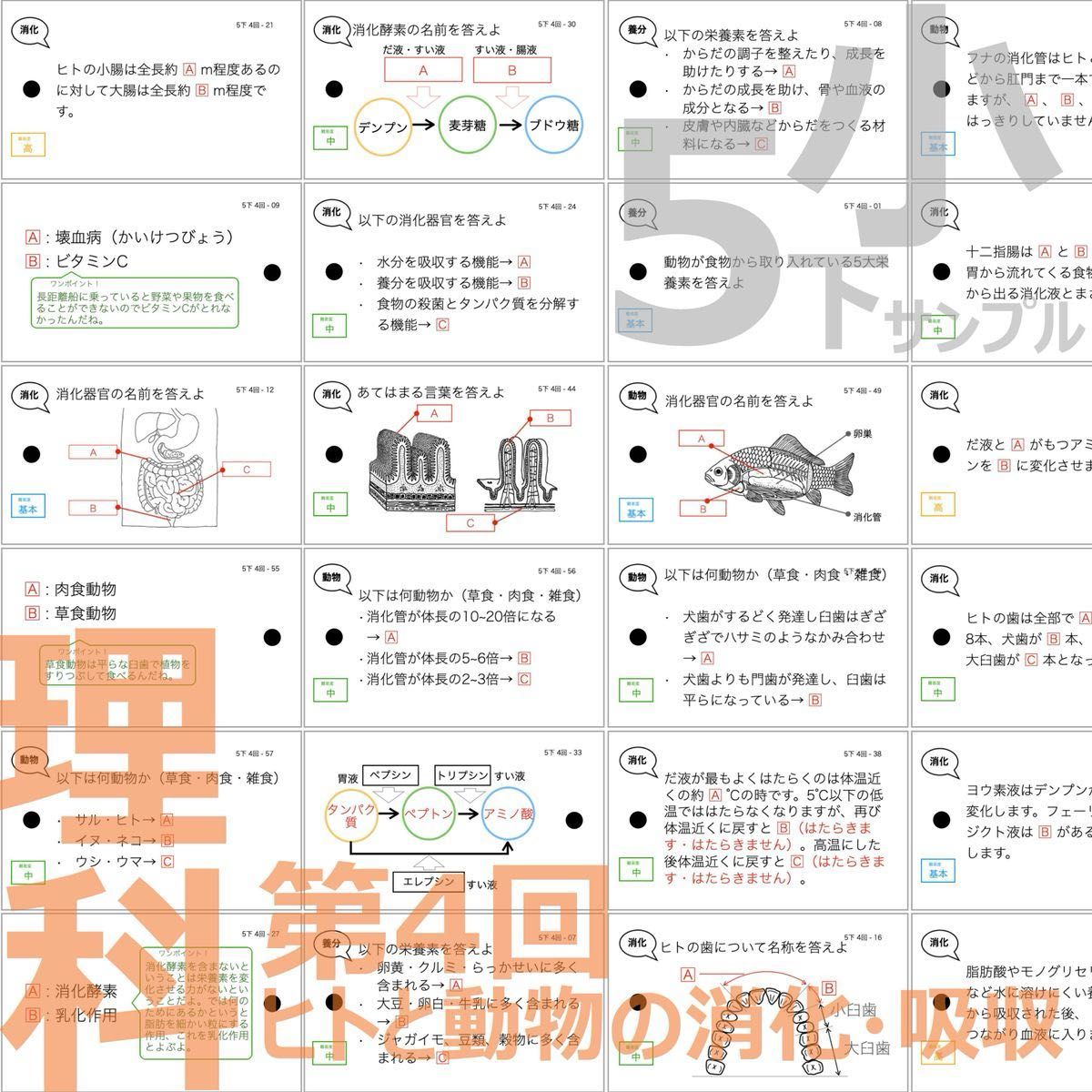 中学受験 暗記カード【理科 生物 全セット】小学5年生が最適 中学受験 暗記カード【理科 生物 全セット】小学5年生が最適