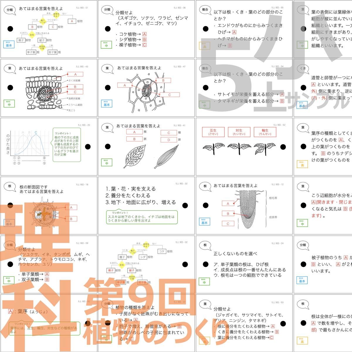 中学受験 暗記カード【理科 生物 全セット】小学5年生が最適 中学受験 暗記カード【理科 生物 全セット】小学5年生が最適