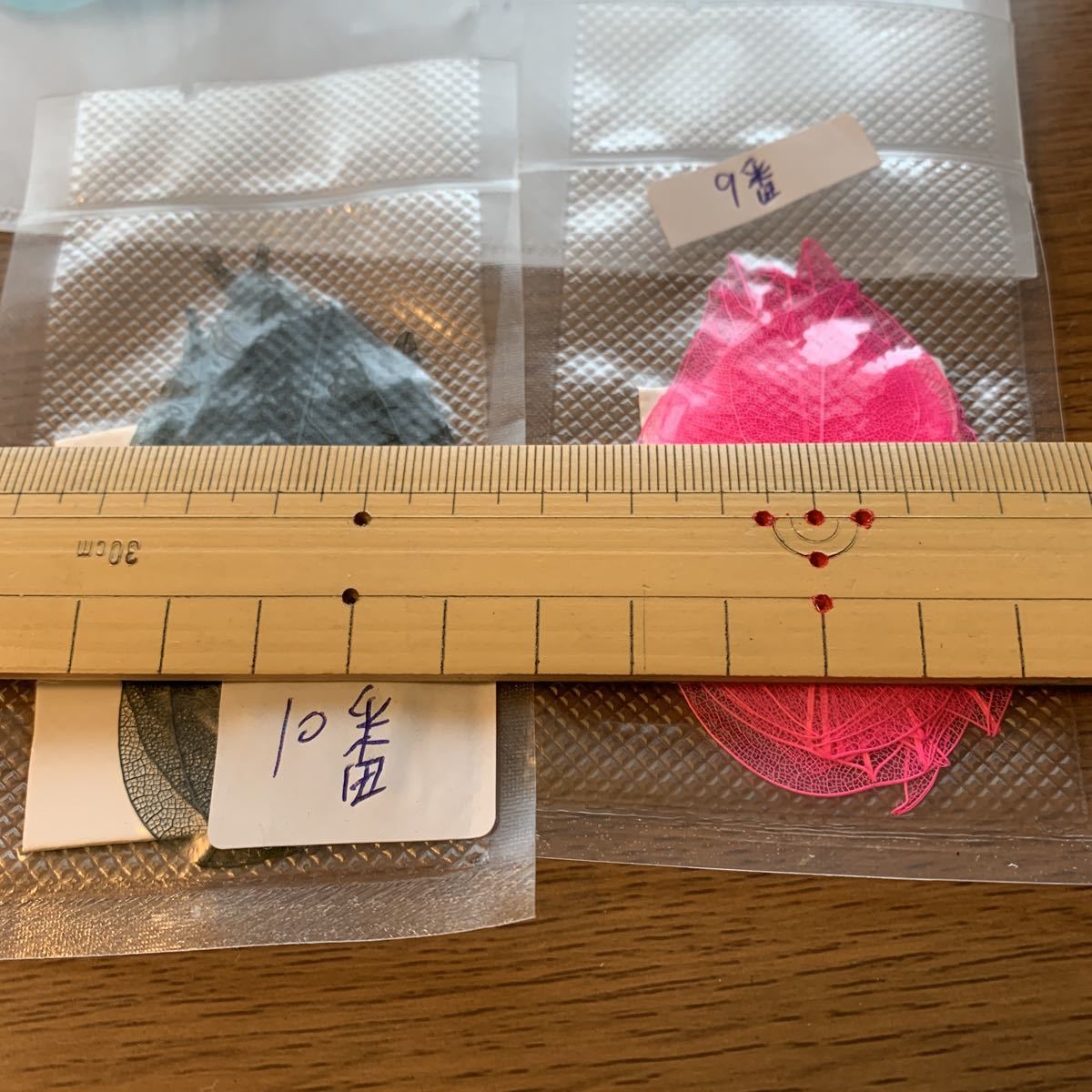 ヤフオク 美品 ほぼ新品 葉っぱ レジン封入材料 押し花 ヤフオク 美品 ほぼ新品 葉っぱ レジン封入材料 押し花