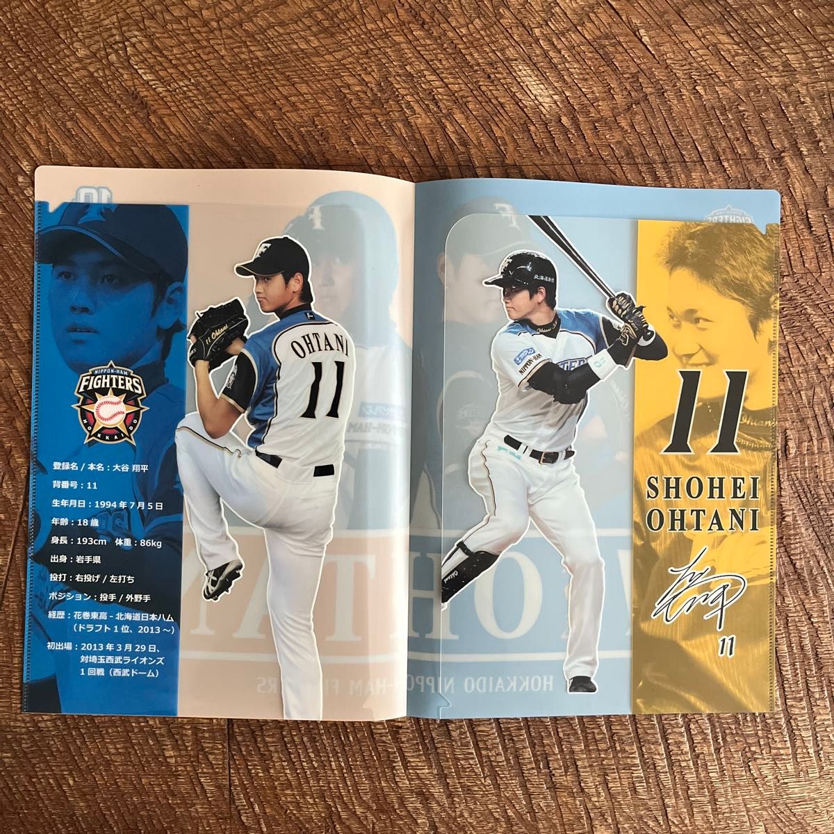 大谷翔平プロ初登板試合観戦証明書&半券&クリアファイル 大谷翔平プロ初登板試合観戦証明書&半券&クリアファイル
