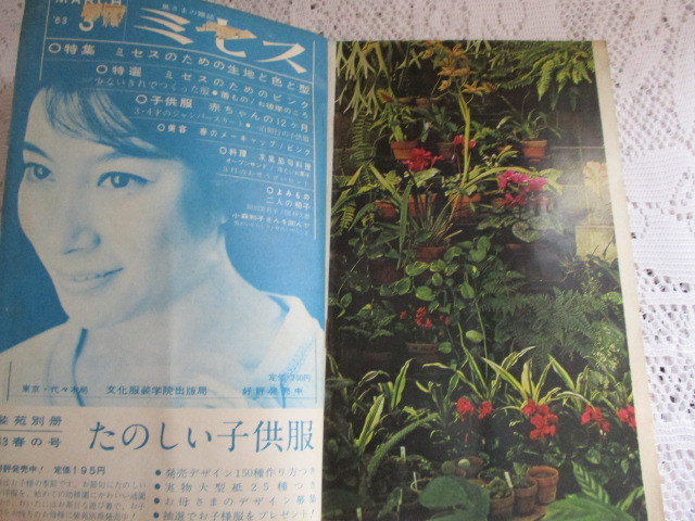 *NHK женщина .. семья садоводство Showa 38 год *