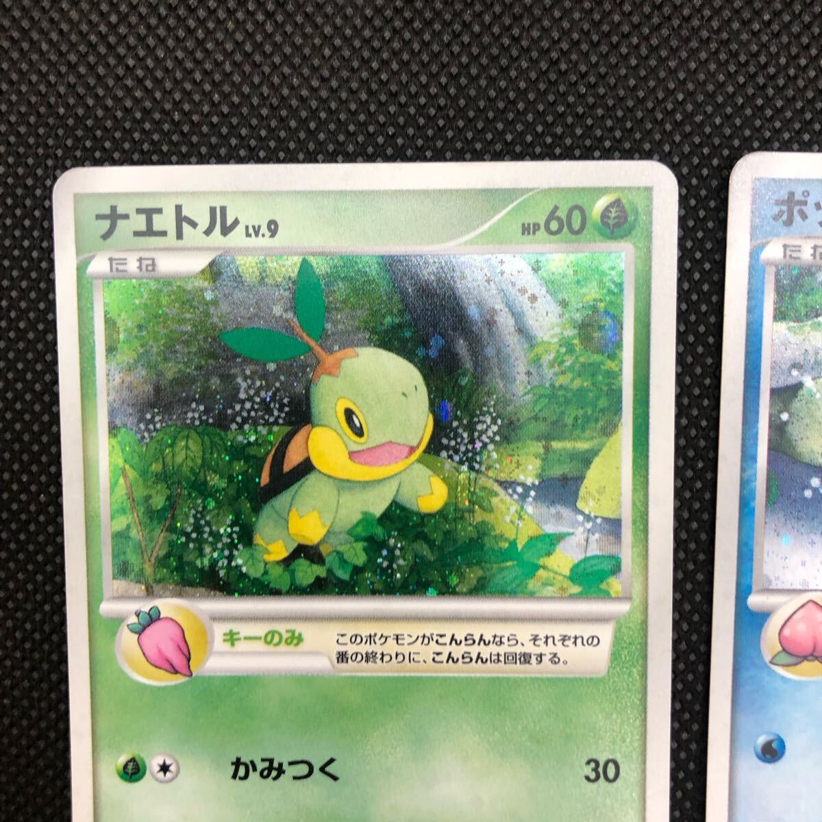 ポケモンカード ポッチャマ ヒコザル ナエトル プレイヤーズ ポケモンカード ポッチャマ ヒコザル ナエトル プレイヤーズ