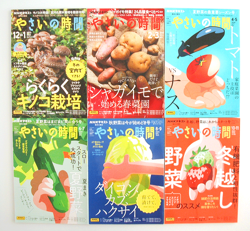 未使用品★NHK趣味の園芸 やさいの時間★2023年12月~2024年11月の6冊★らくらくキノコ栽培★夏野菜★ダイコン★冬越し野菜★送料860円～