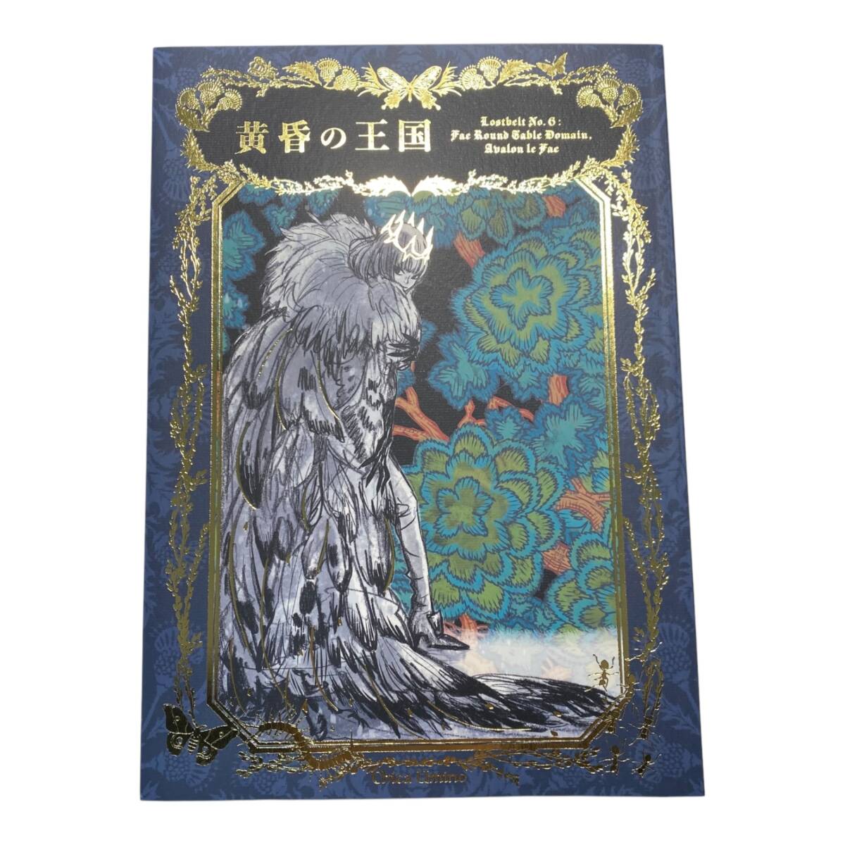 【中古品】 黄昏の王国 海の近くの遊園地 羽海野チカ 同人誌 付属カード無し W78761RZZ