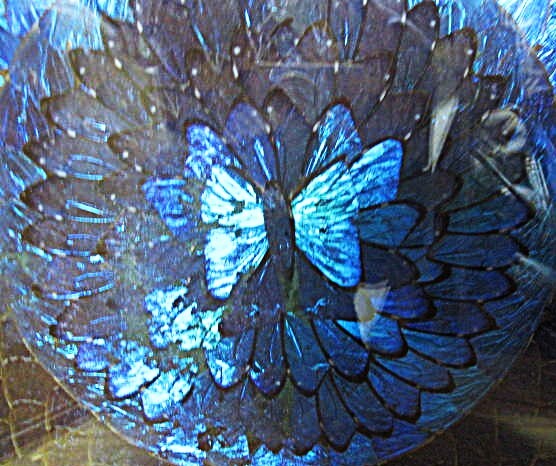 モルフォ蝶 天然石 ブルーモルフォ ブラジル 壁飾り レリーフ オブジェ アート モルフォ蝶 天然石 ブルーモルフォ ブラジル 壁飾り レリーフ