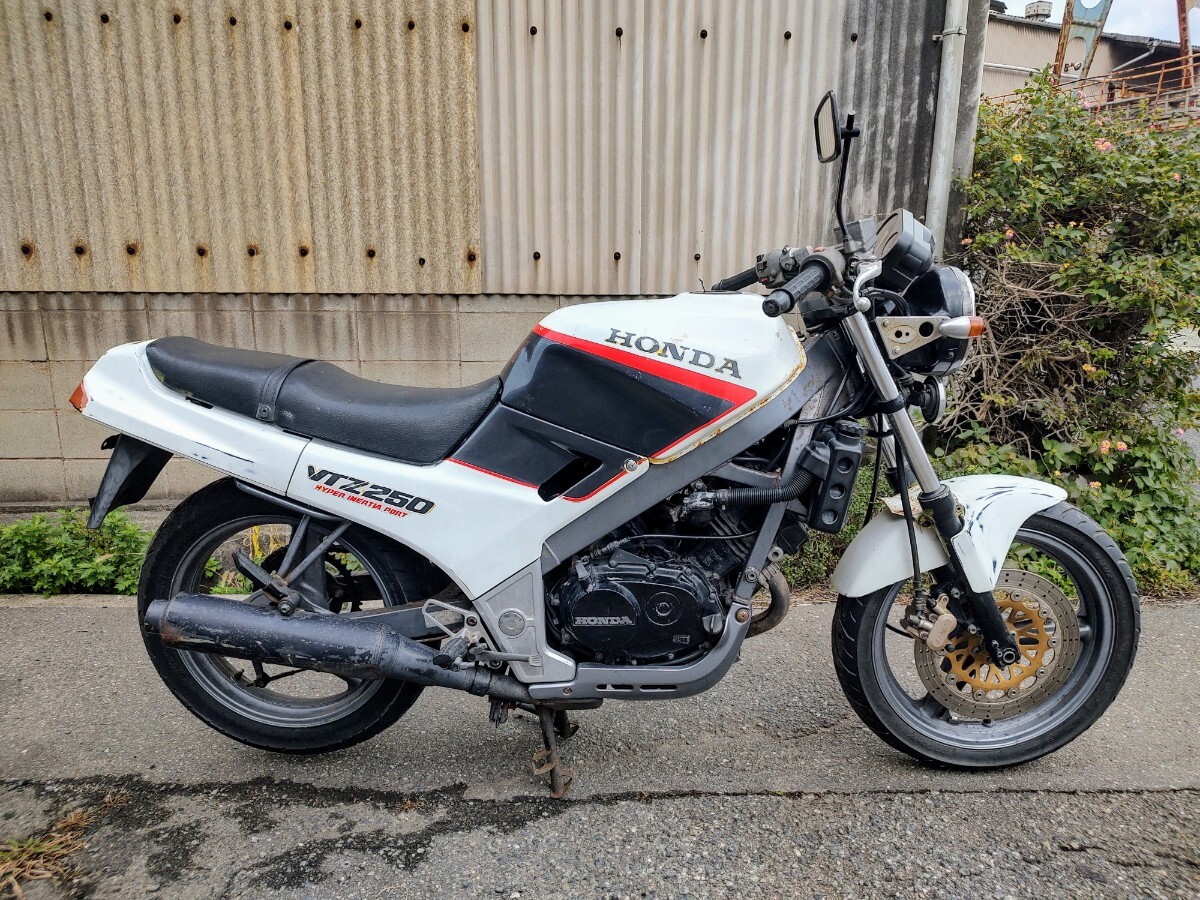 新品弦張替☆調弦済】SUZUKI ビオラ15.5inc No2 ヴィオラ |