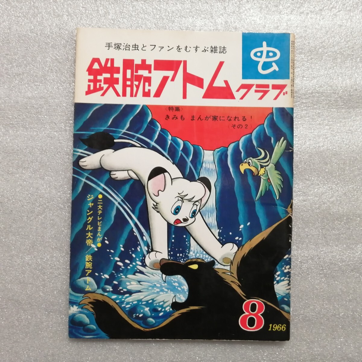 鉄腕アトムクラブ 25巻 1966年8月号 手塚治虫 虫 鉄腕アトムクラブ 25巻 1966年8月号 手塚治虫 虫