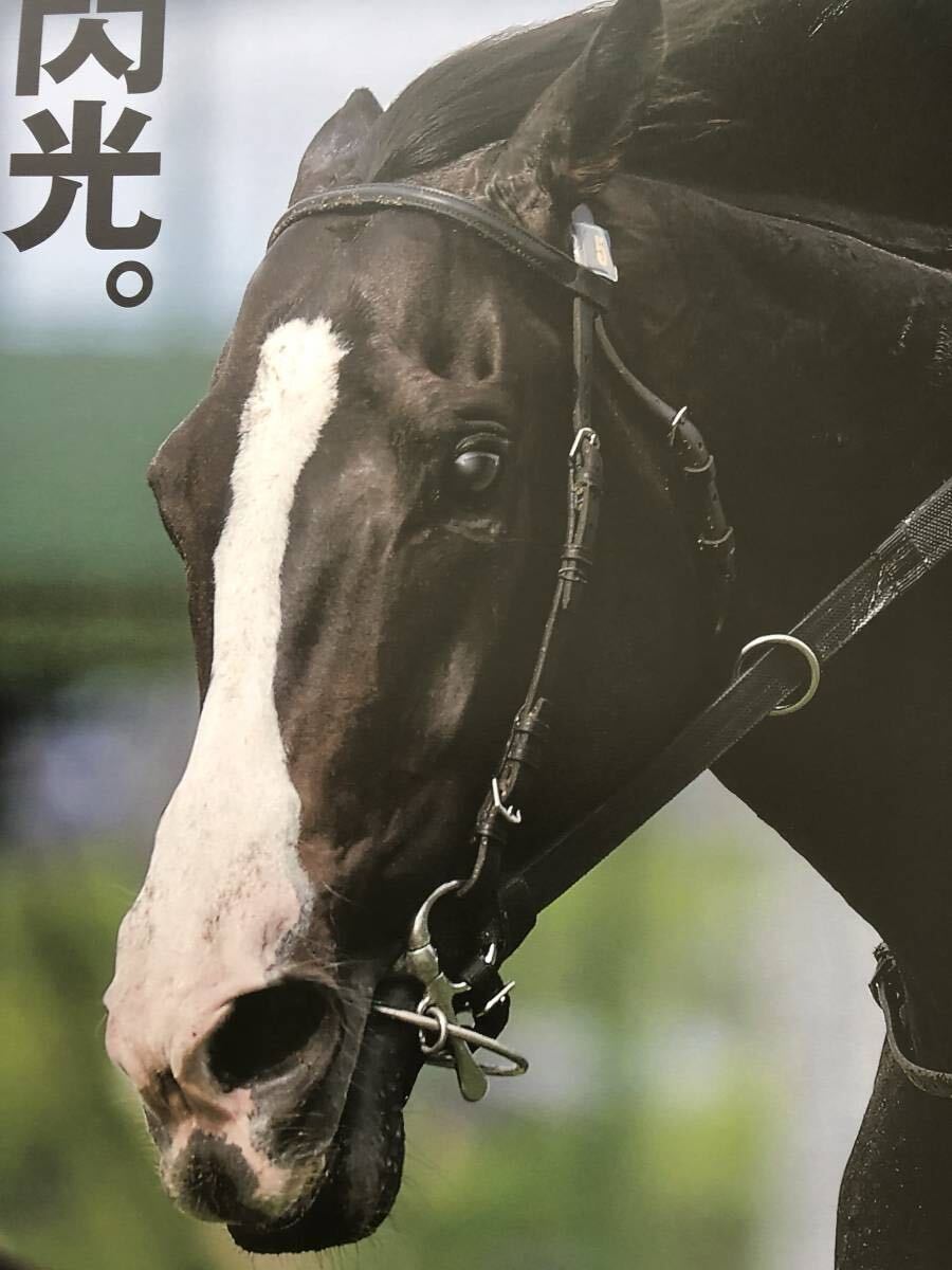 レア 貴重 非売品 未使用 JRA ヒーロー列伝 #94 イクイノックス レア 貴重 非売品 未使用 JRA ヒーロー列伝 #94 イクイノックス