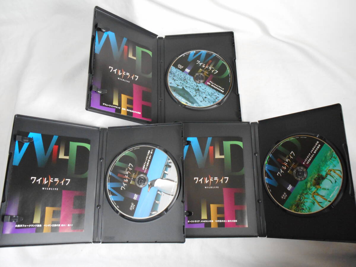 NHK wild жизнь DVD-BOX Ⅰ~Ⅴ комплект все 15 шт 